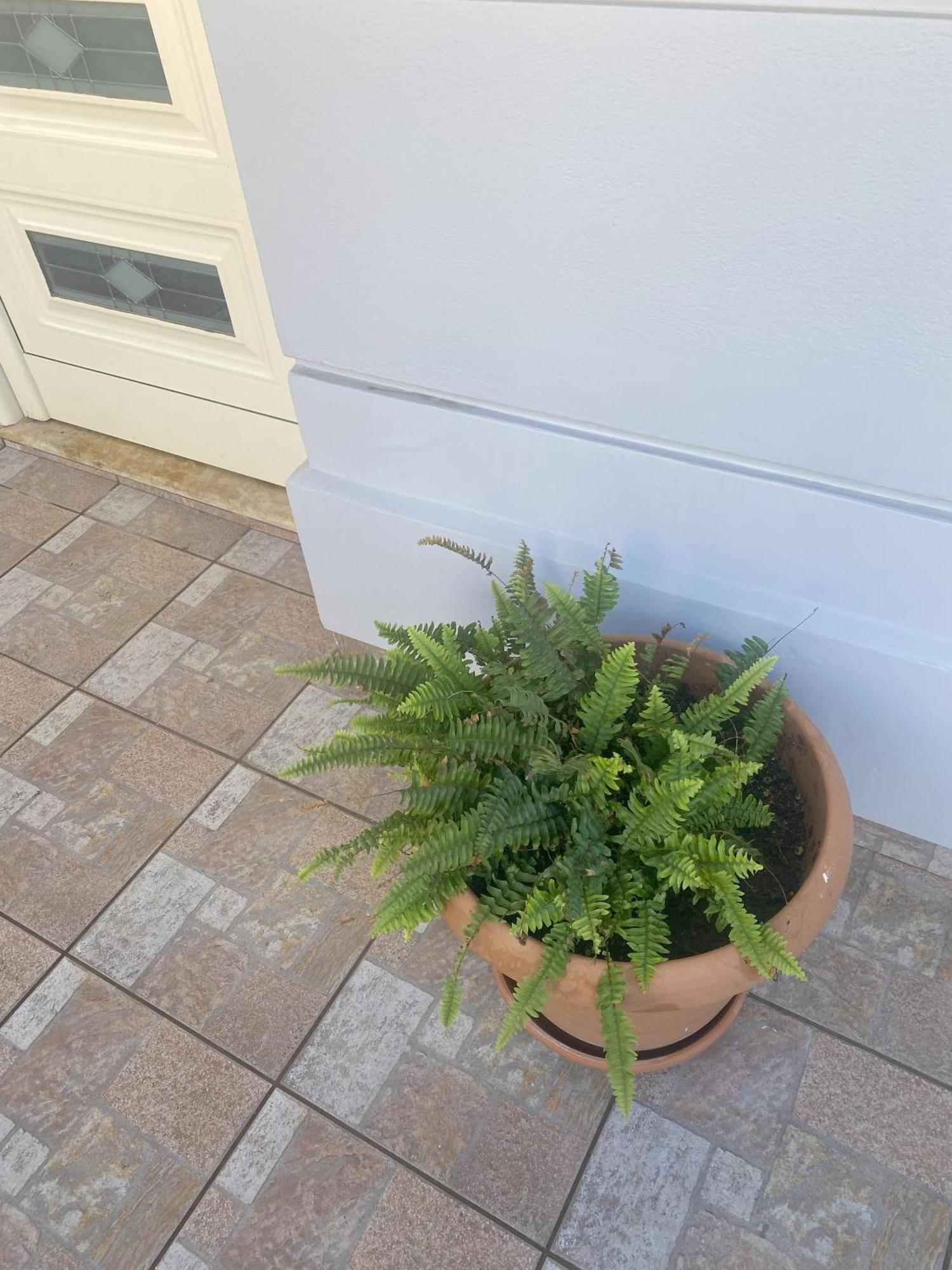 New Unique Apartment In Heraklion Buitenkant foto